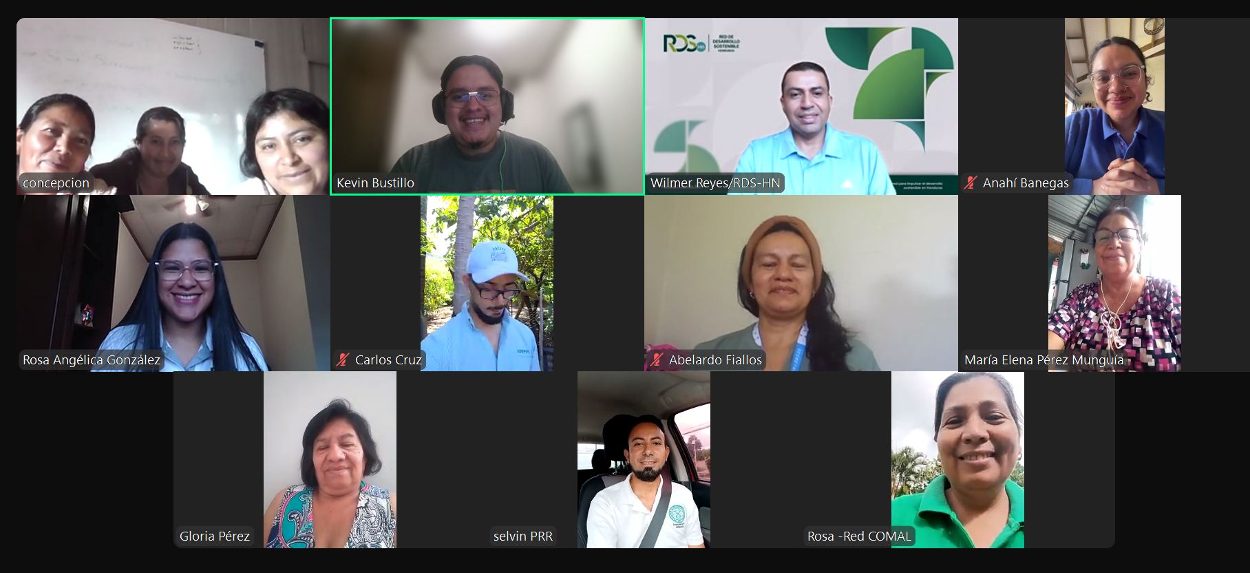 Reunión Zoom Coordinación Red Nacional para la Promoción e Incidencia en Alimentación Saludable